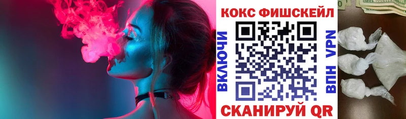 цена наркотик  Чадан  MEGA ссылка  COCAIN Fish Scale 