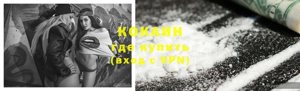 mdpv Краснослободск