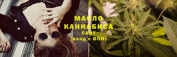 mdpv Краснослободск