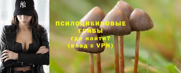 прущие крисы Красноперекопск