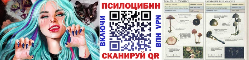 Псилоцибиновые грибы MAGIC MUSHROOMS  сайты даркнета Telegram  Чадан 