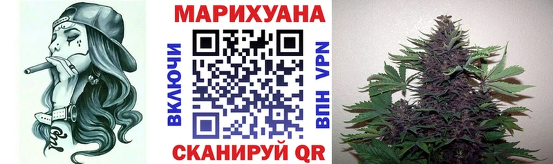 Шишки марихуана OG Kush  Чадан 